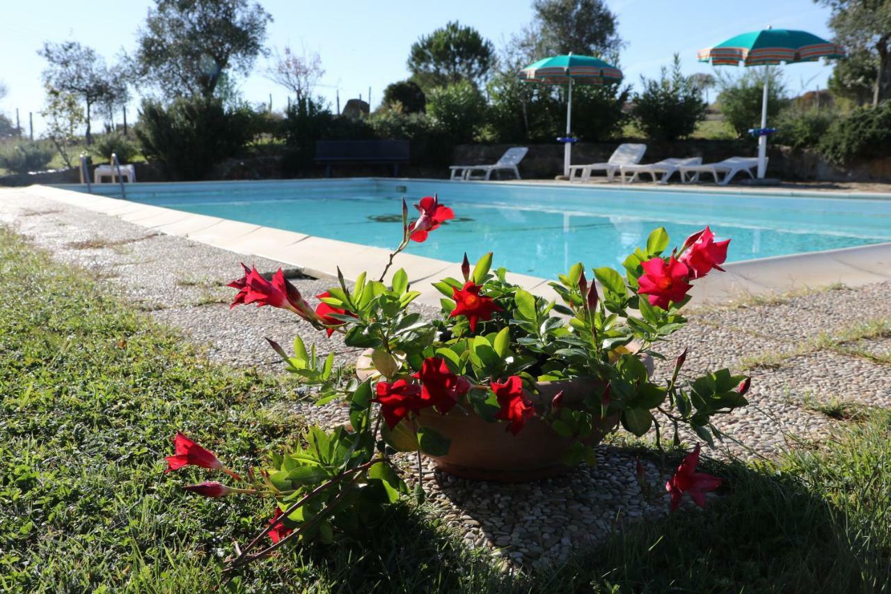 Agriturismo Tinti Montiano  Buitenkant foto